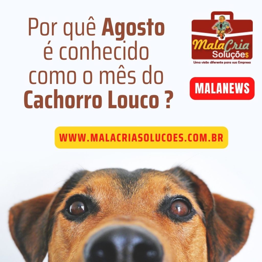 Raiva Canina: Entenda porque Agosto é o “Mês do Cachorro Louco ...